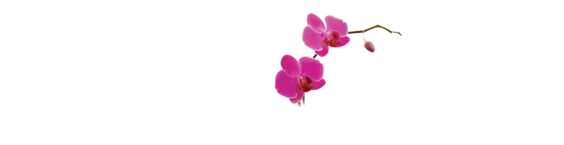 Serenity Koh Chang